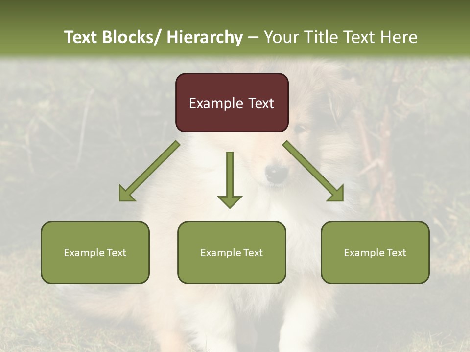 A Dog Is Sitting In The Grass Near A Fence PowerPoint Template