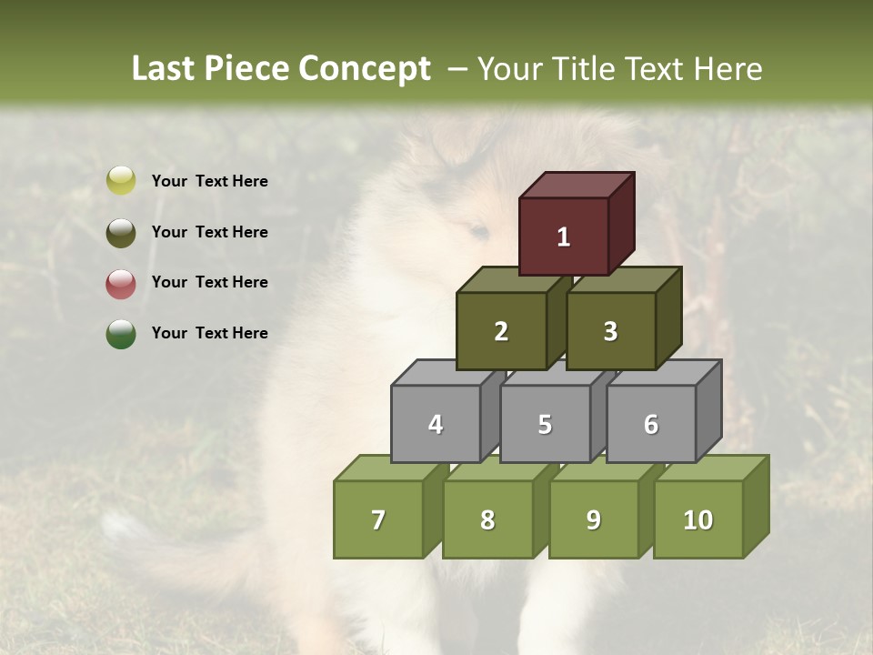 A Dog Is Sitting In The Grass Near A Fence PowerPoint Template