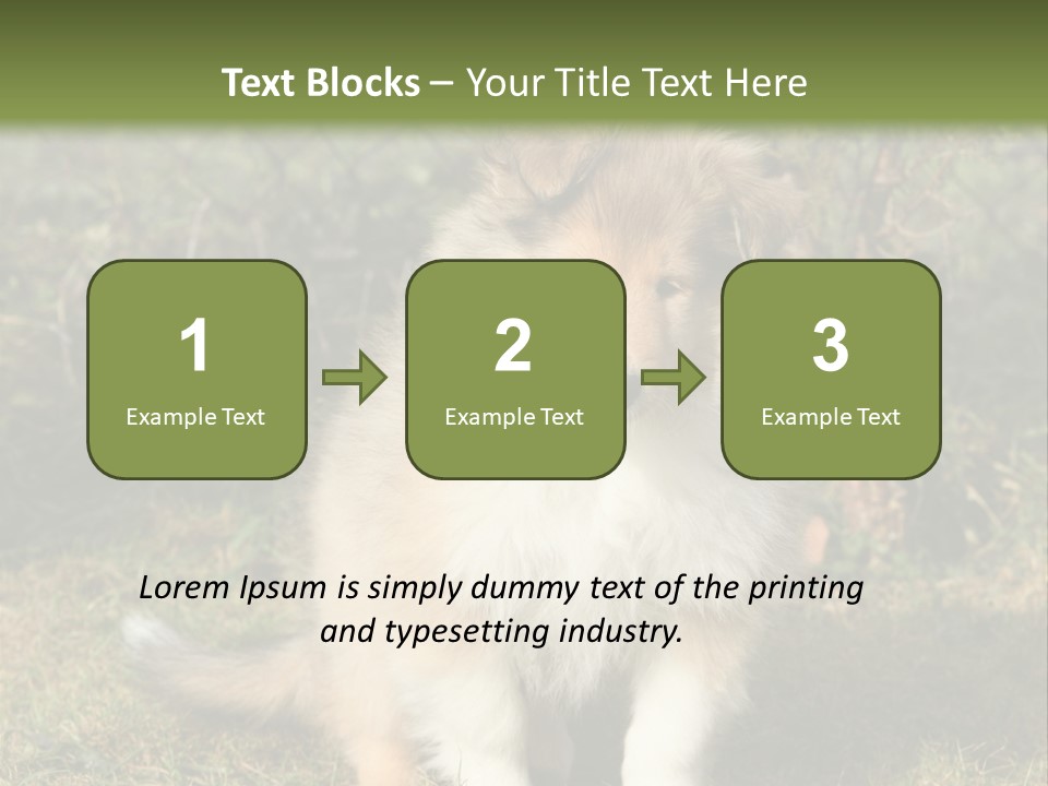 A Dog Is Sitting In The Grass Near A Fence PowerPoint Template