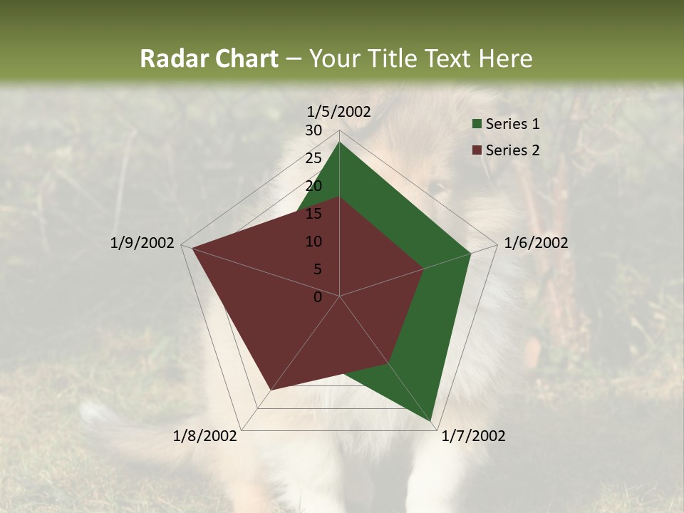 A Dog Is Sitting In The Grass Near A Fence PowerPoint Template