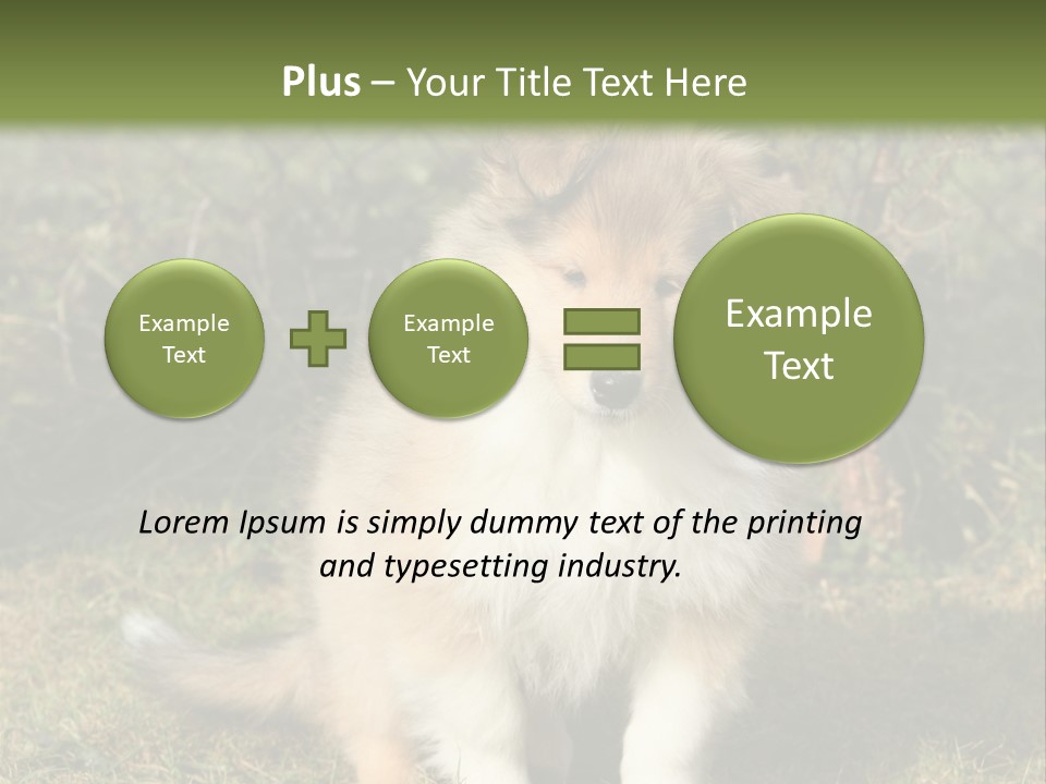 A Dog Is Sitting In The Grass Near A Fence PowerPoint Template