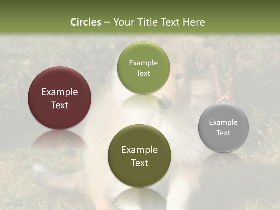 A Dog Is Sitting In The Grass Near A Fence PowerPoint Template