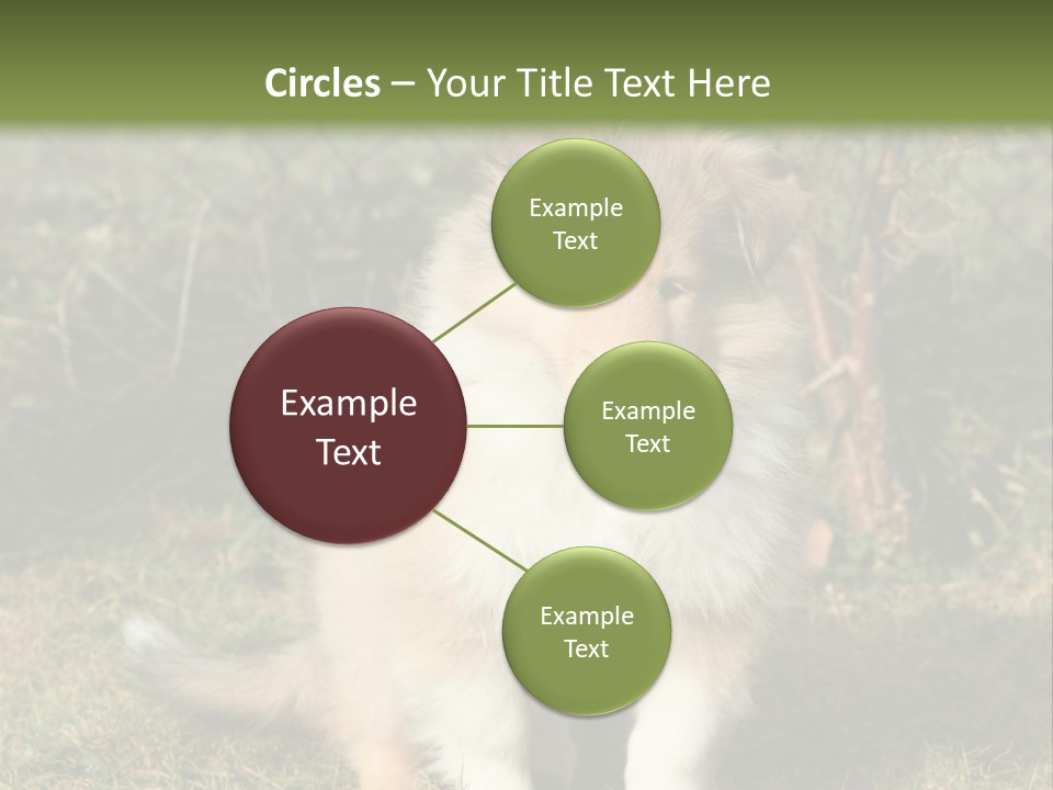 A Dog Is Sitting In The Grass Near A Fence PowerPoint Template