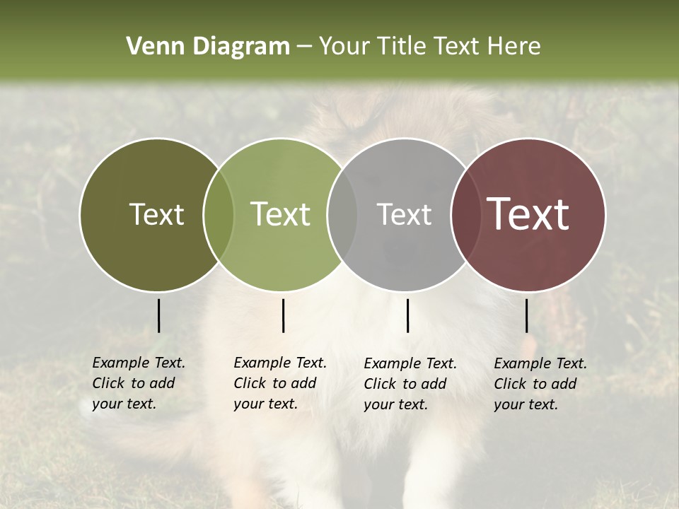 A Dog Is Sitting In The Grass Near A Fence PowerPoint Template