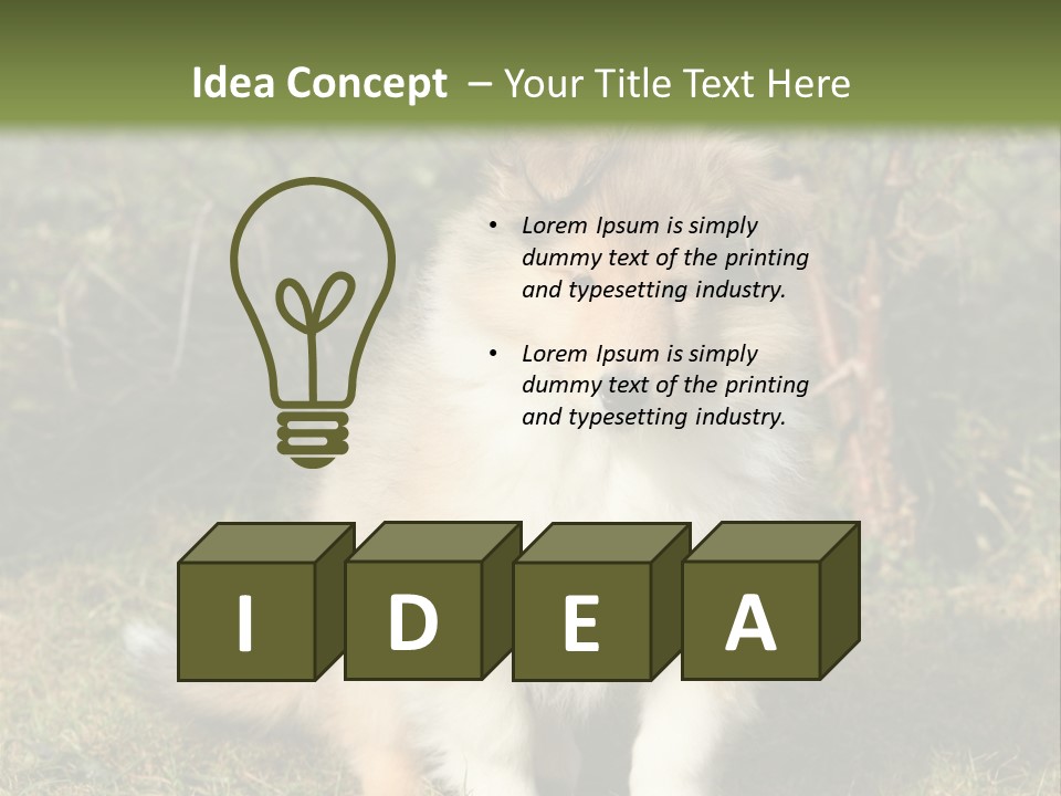 A Dog Is Sitting In The Grass Near A Fence PowerPoint Template