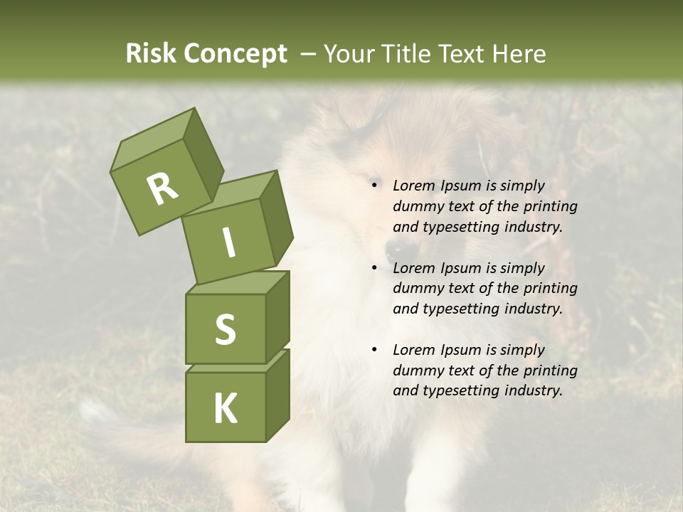 A Dog Is Sitting In The Grass Near A Fence PowerPoint Template