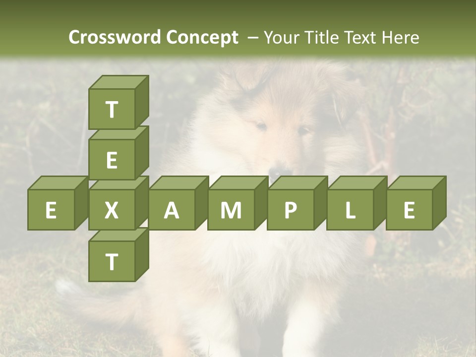 A Dog Is Sitting In The Grass Near A Fence PowerPoint Template