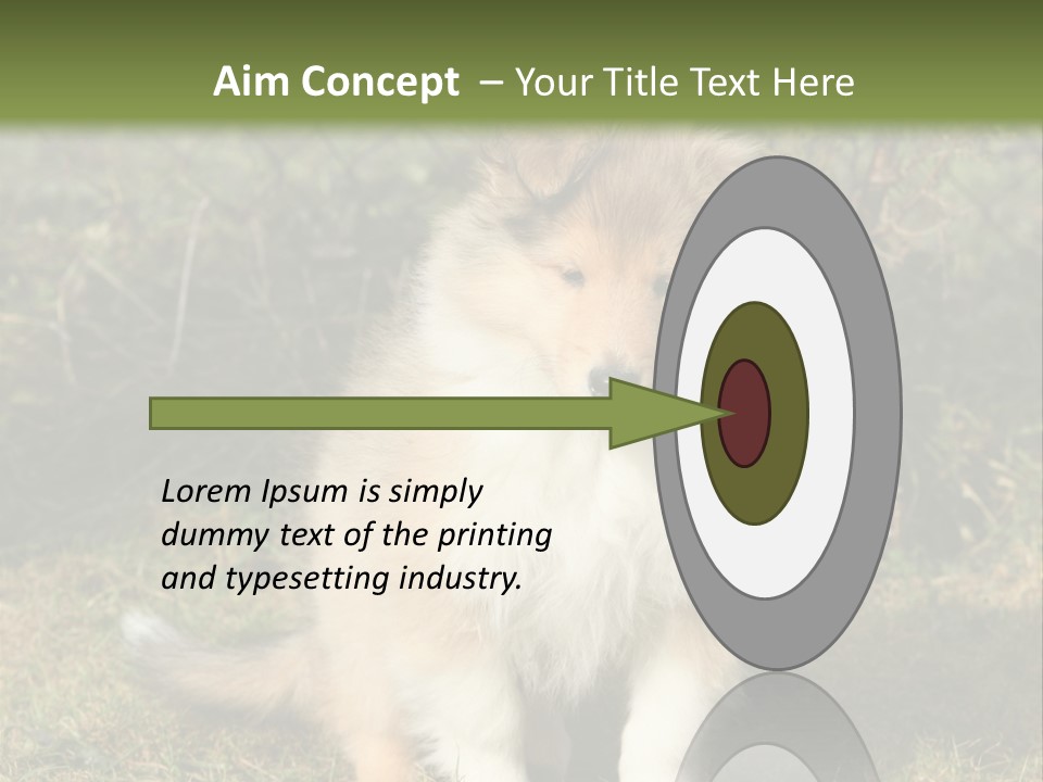 A Dog Is Sitting In The Grass Near A Fence PowerPoint Template