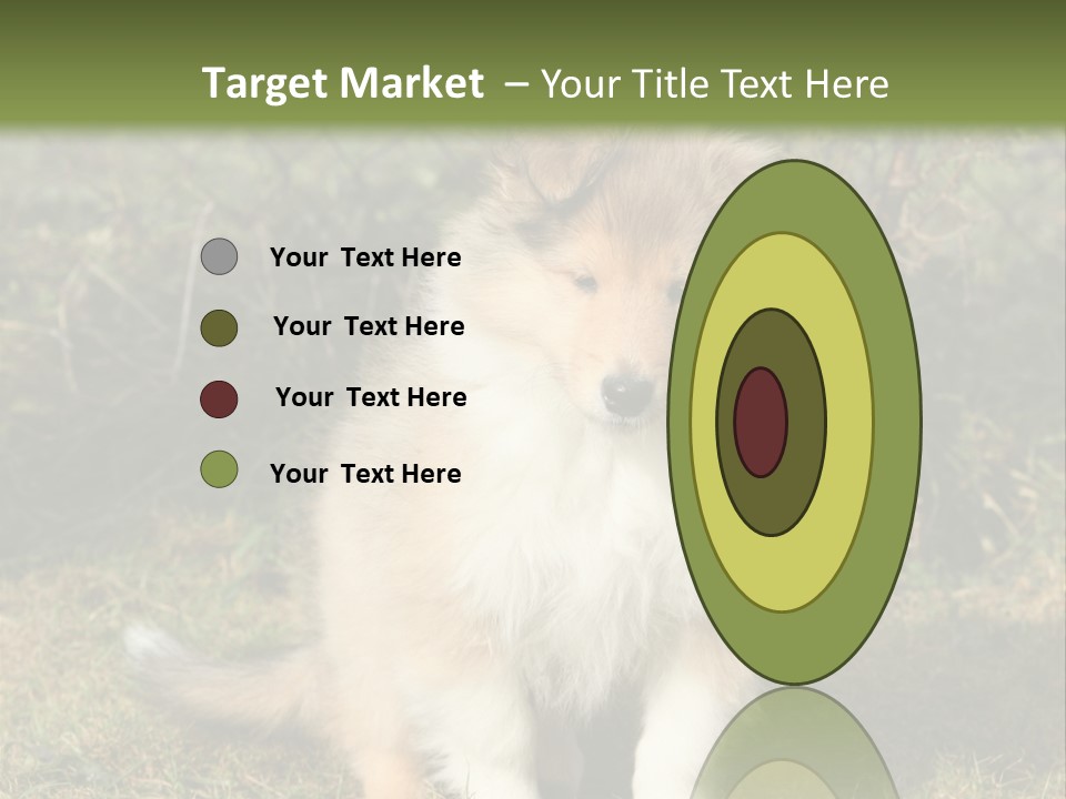 A Dog Is Sitting In The Grass Near A Fence PowerPoint Template