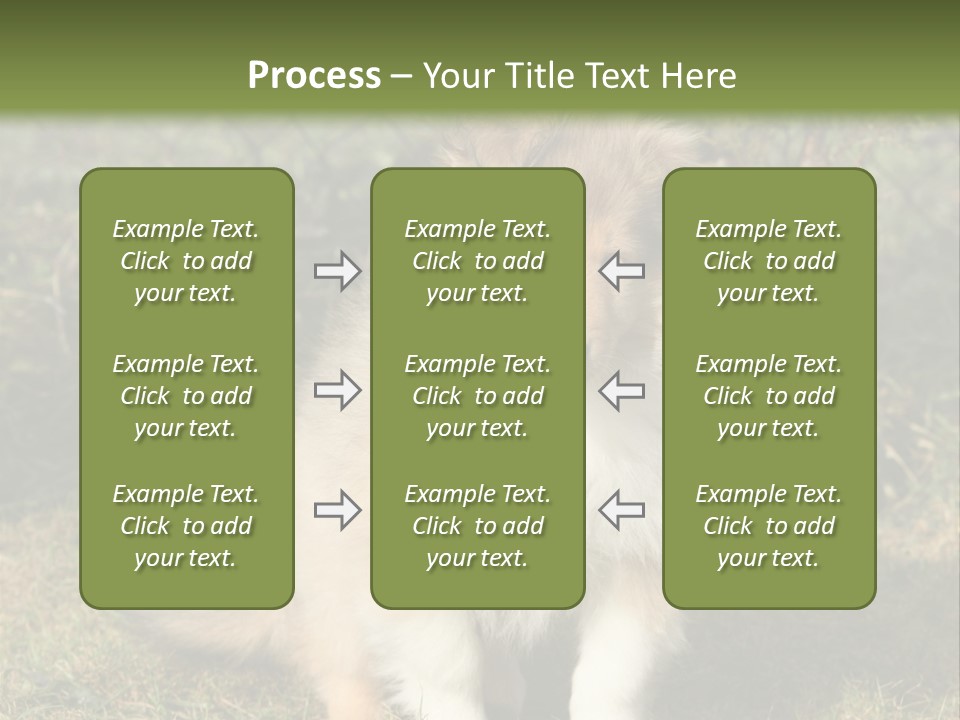 A Dog Is Sitting In The Grass Near A Fence PowerPoint Template