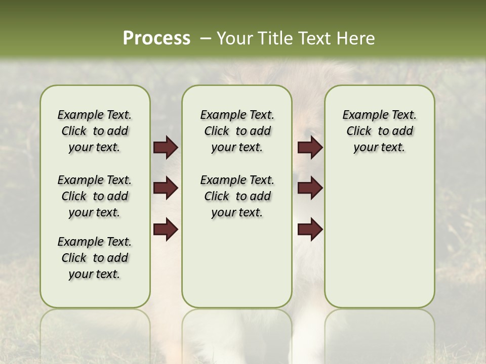 A Dog Is Sitting In The Grass Near A Fence PowerPoint Template