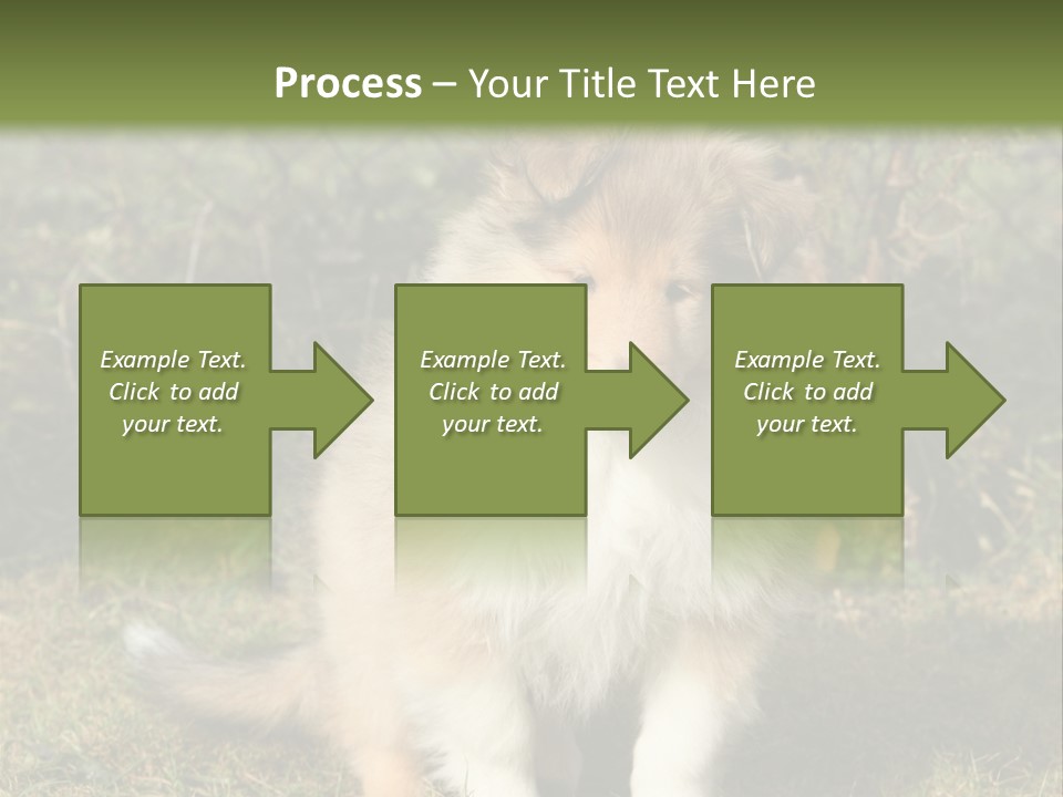 A Dog Is Sitting In The Grass Near A Fence PowerPoint Template