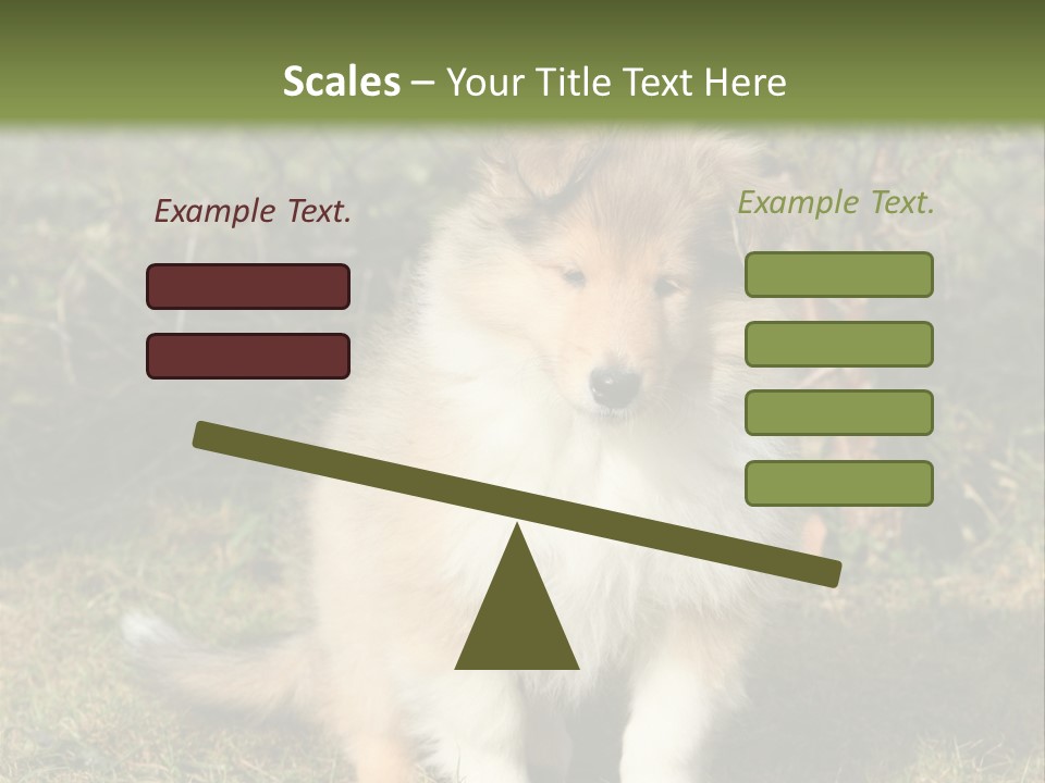 A Dog Is Sitting In The Grass Near A Fence PowerPoint Template