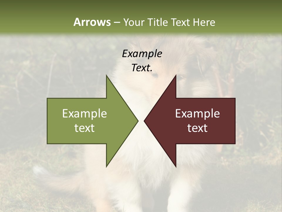 A Dog Is Sitting In The Grass Near A Fence PowerPoint Template