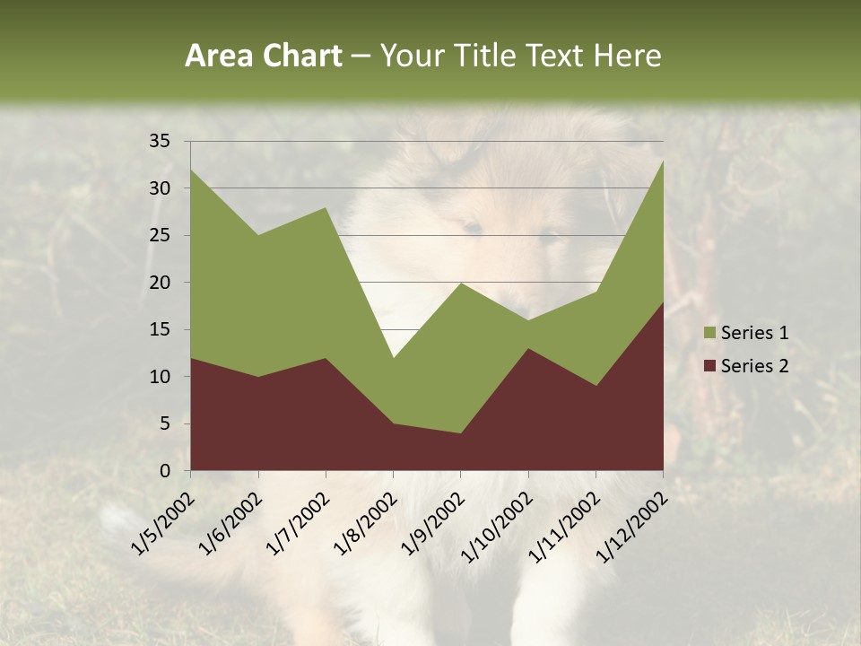 A Dog Is Sitting In The Grass Near A Fence PowerPoint Template