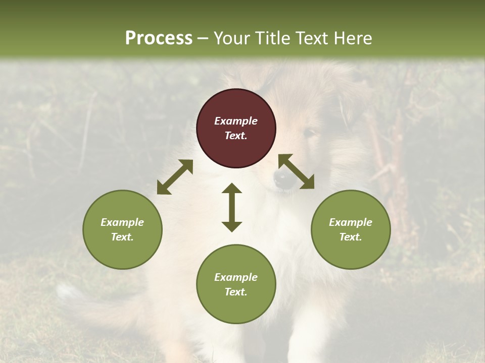 A Dog Is Sitting In The Grass Near A Fence PowerPoint Template