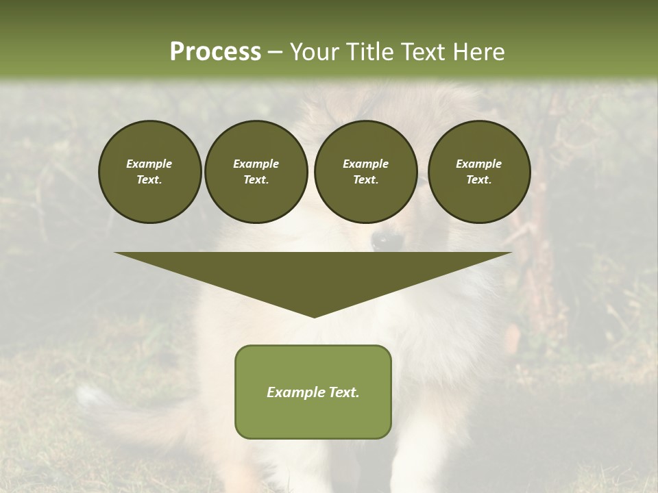A Dog Is Sitting In The Grass Near A Fence PowerPoint Template