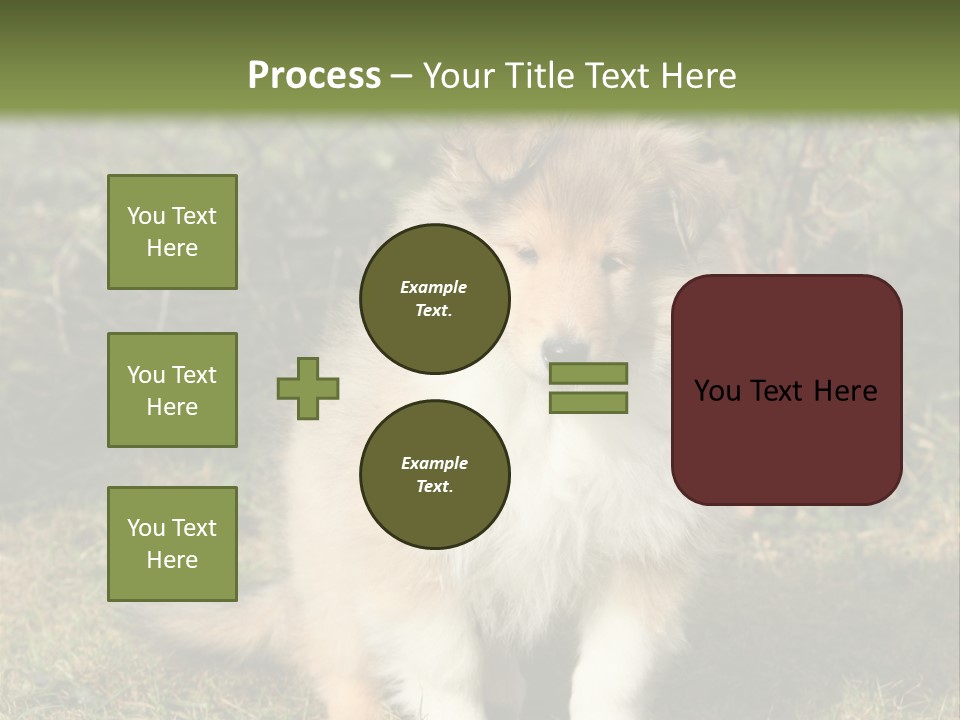 A Dog Is Sitting In The Grass Near A Fence PowerPoint Template
