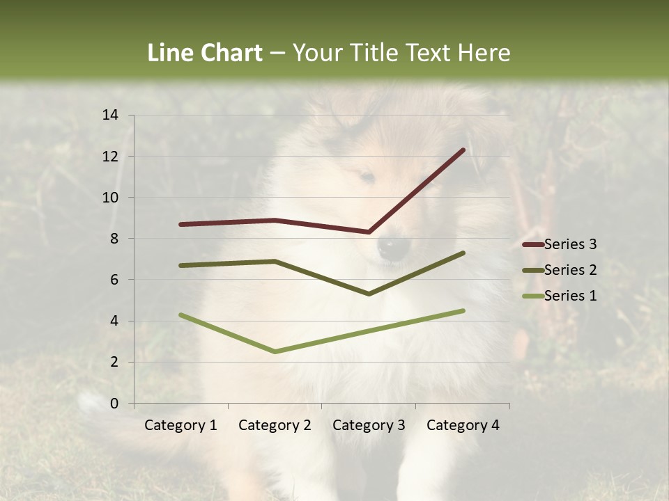 A Dog Is Sitting In The Grass Near A Fence PowerPoint Template