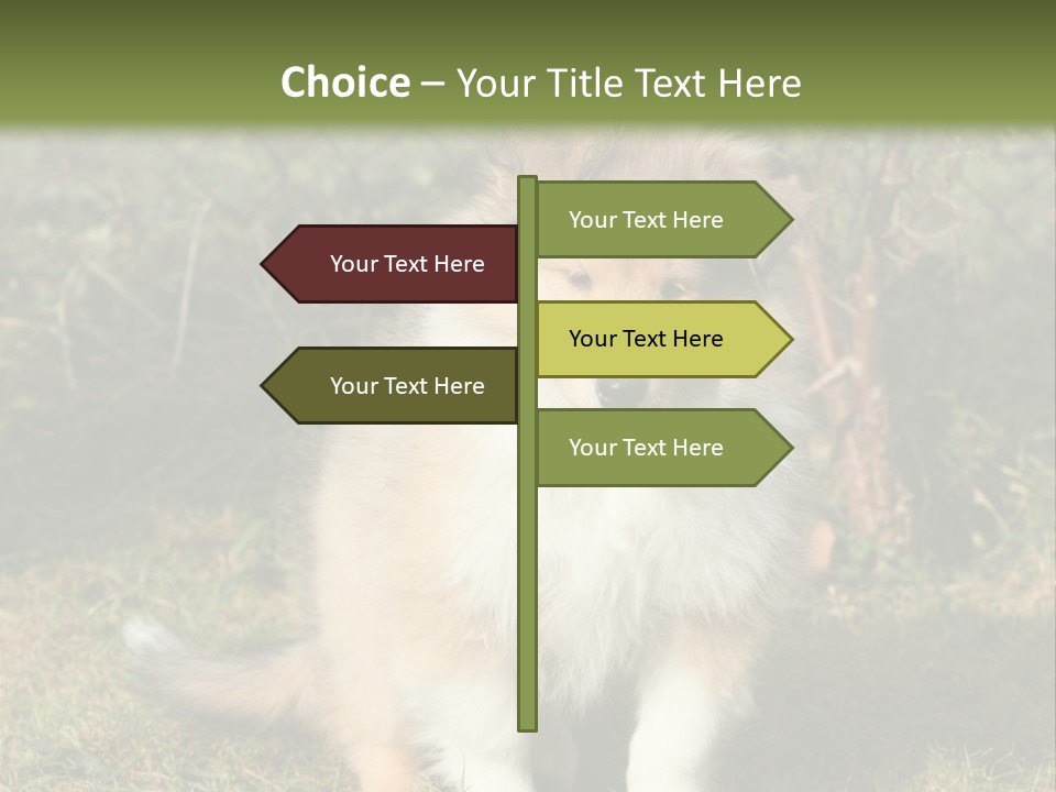 A Dog Is Sitting In The Grass Near A Fence PowerPoint Template