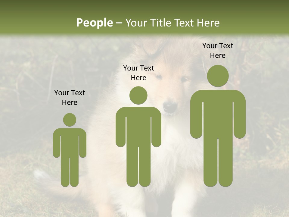 A Dog Is Sitting In The Grass Near A Fence PowerPoint Template