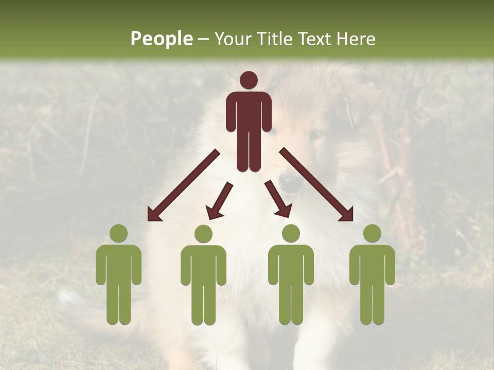 A Dog Is Sitting In The Grass Near A Fence PowerPoint Template