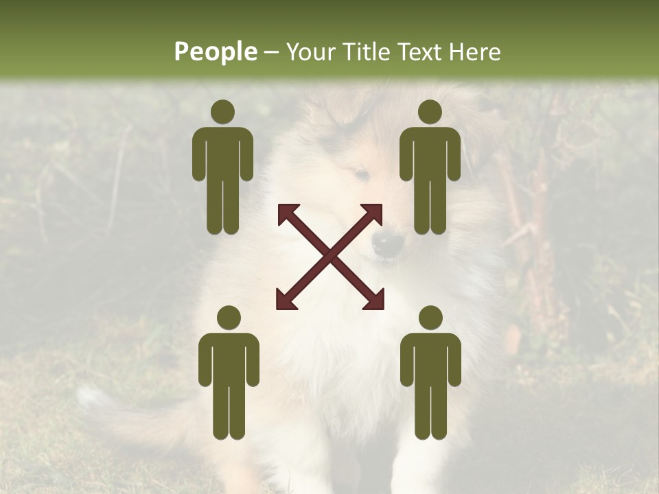 A Dog Is Sitting In The Grass Near A Fence PowerPoint Template