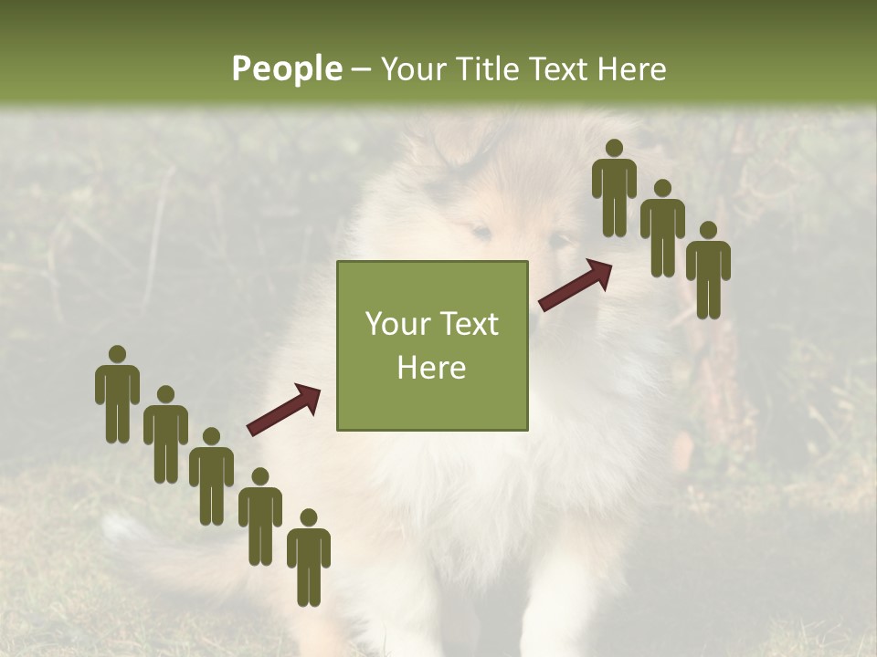 A Dog Is Sitting In The Grass Near A Fence PowerPoint Template
