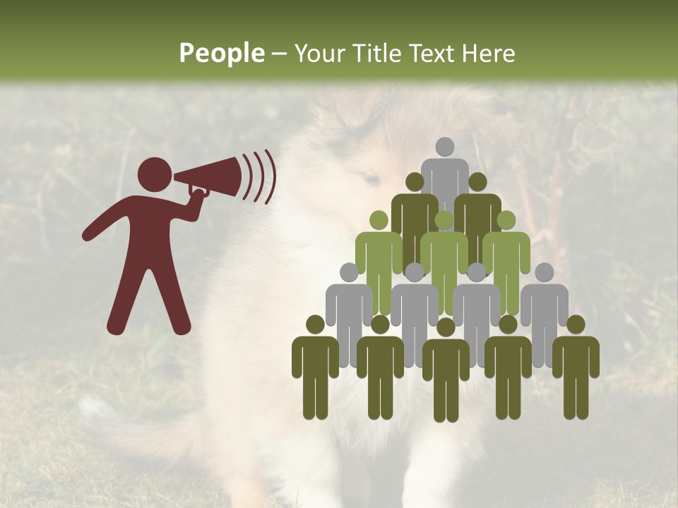 A Dog Is Sitting In The Grass Near A Fence PowerPoint Template
