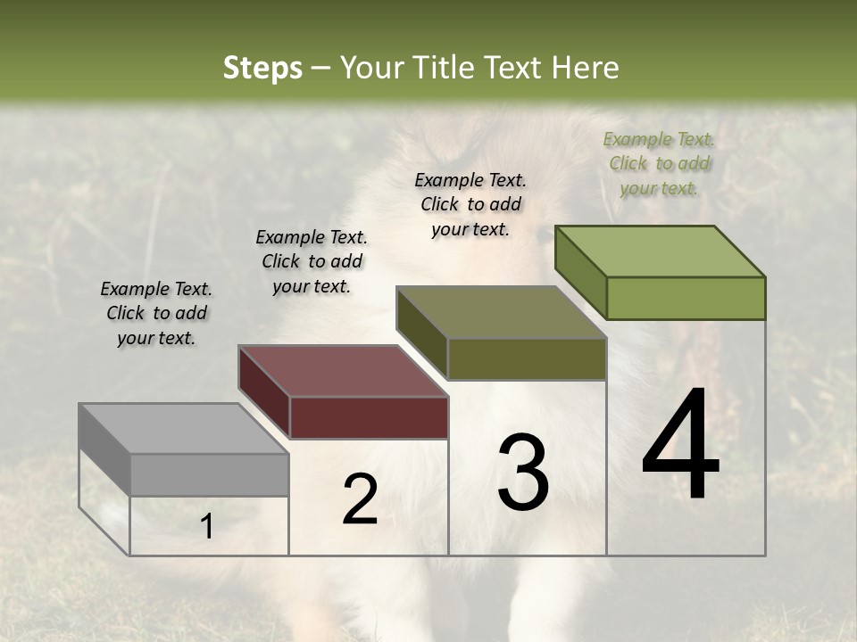 A Dog Is Sitting In The Grass Near A Fence PowerPoint Template