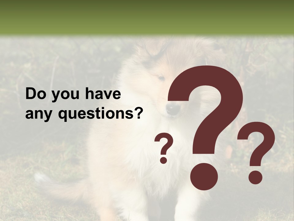 A Dog Is Sitting In The Grass Near A Fence PowerPoint Template