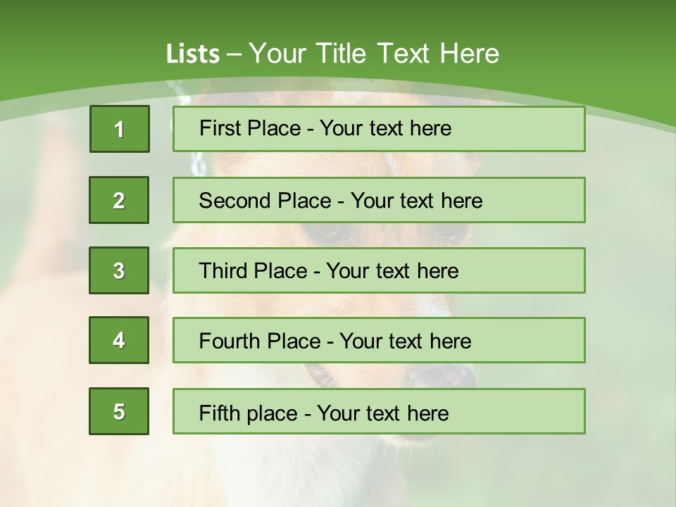 A Brown And White Dog Is On A Leash PowerPoint Template