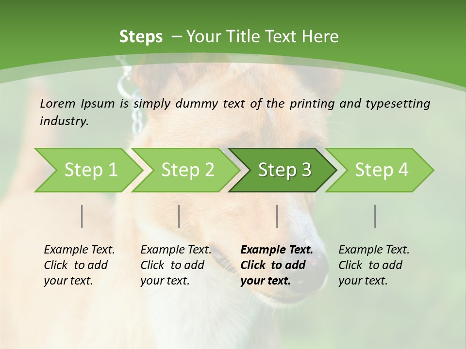 A Brown And White Dog Is On A Leash PowerPoint Template