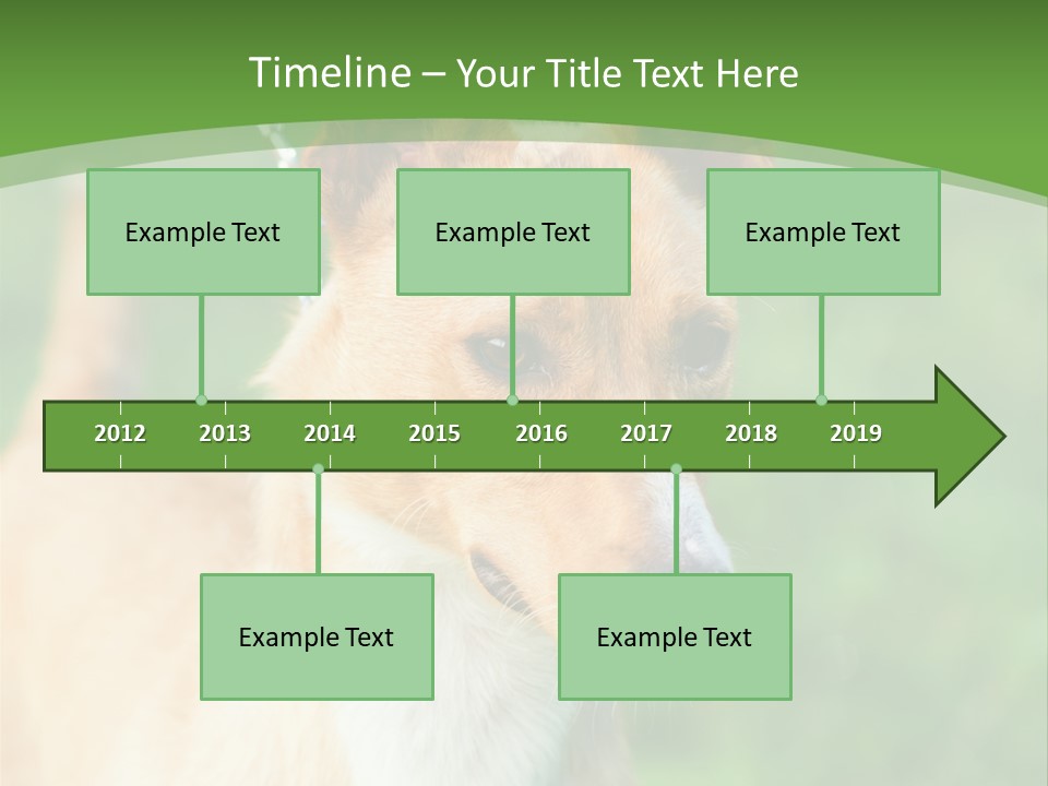 A Brown And White Dog Is On A Leash PowerPoint Template