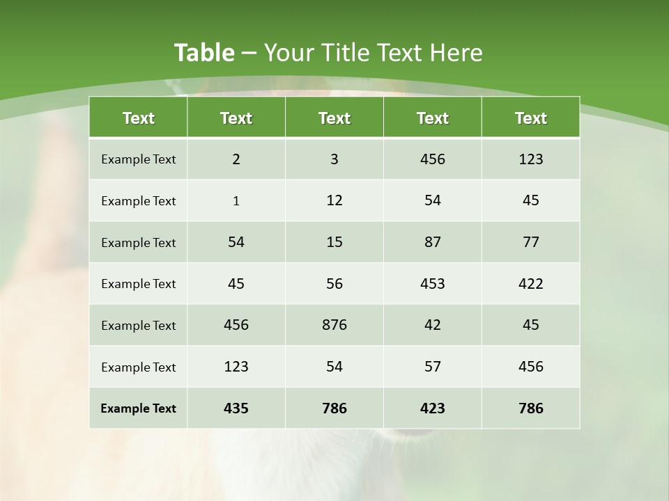 A Brown And White Dog Is On A Leash PowerPoint Template