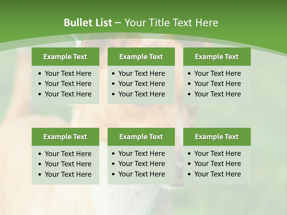 A Brown And White Dog Is On A Leash PowerPoint Template