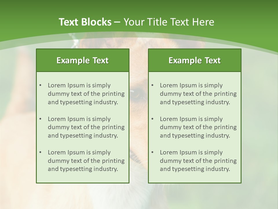 A Brown And White Dog Is On A Leash PowerPoint Template