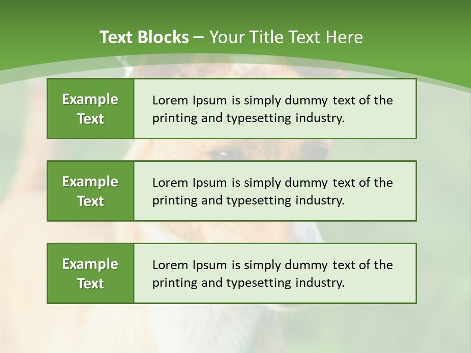 A Brown And White Dog Is On A Leash PowerPoint Template