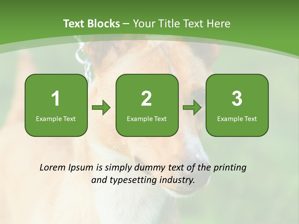 A Brown And White Dog Is On A Leash PowerPoint Template