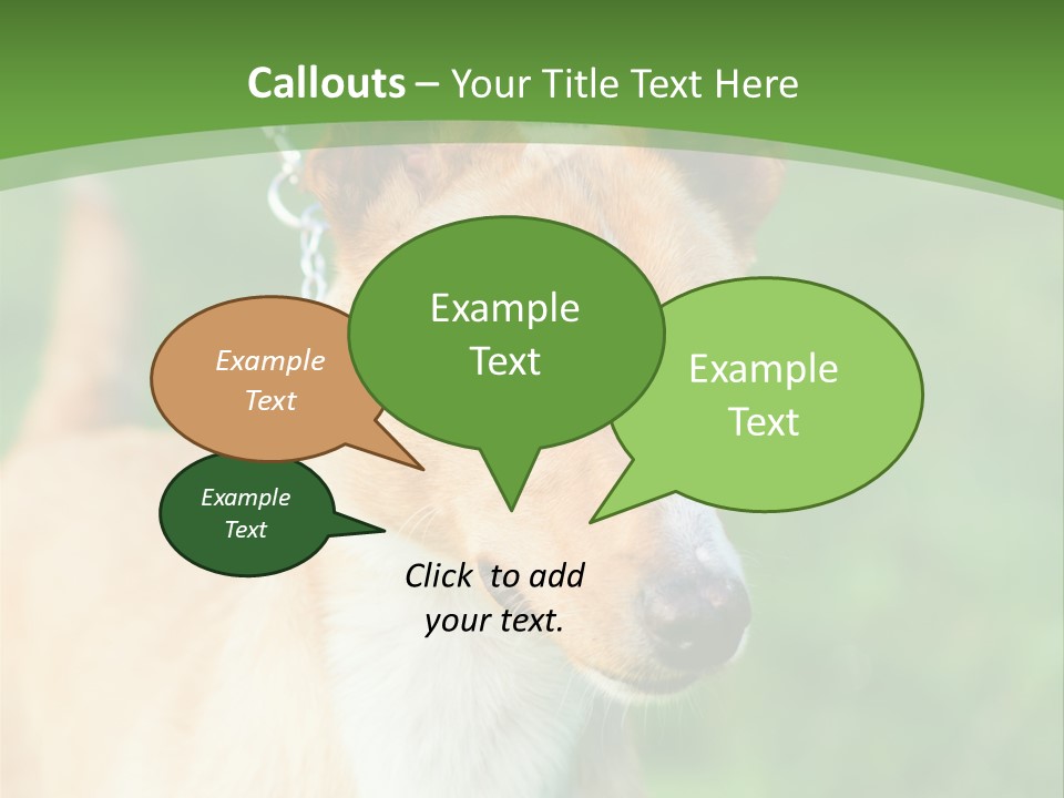 A Brown And White Dog Is On A Leash PowerPoint Template