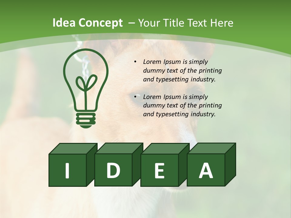 A Brown And White Dog Is On A Leash PowerPoint Template