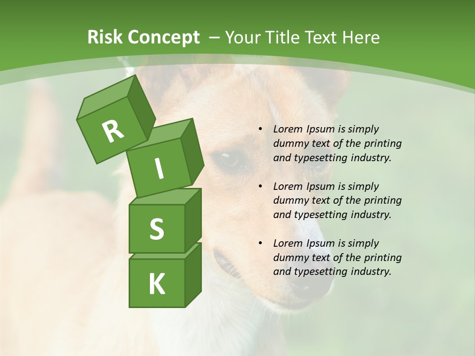 A Brown And White Dog Is On A Leash PowerPoint Template