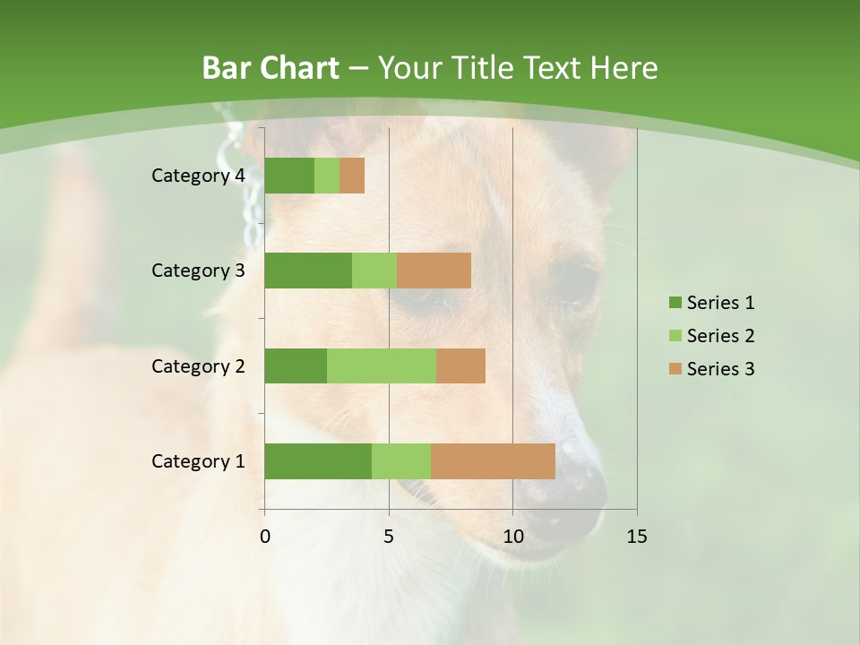 A Brown And White Dog Is On A Leash PowerPoint Template
