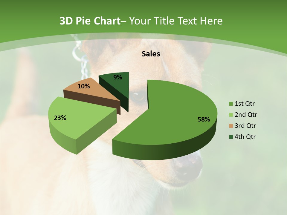 A Brown And White Dog Is On A Leash PowerPoint Template