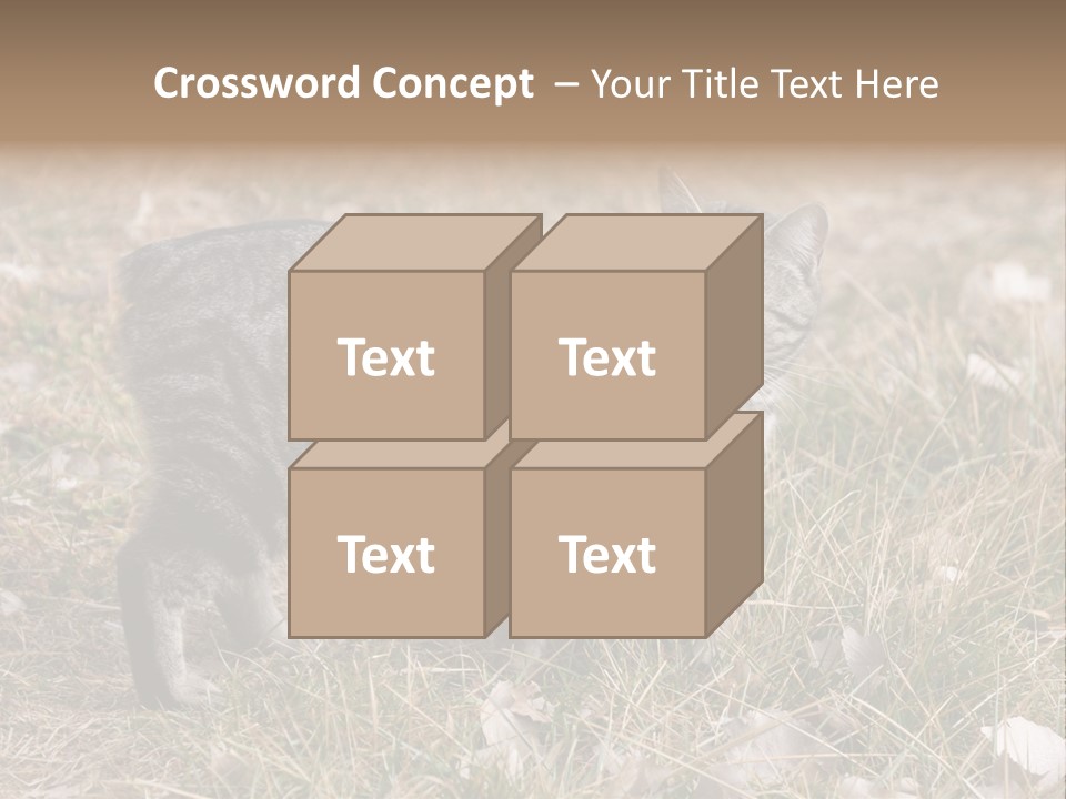 A Cat Standing In A Field Of Grass PowerPoint Template