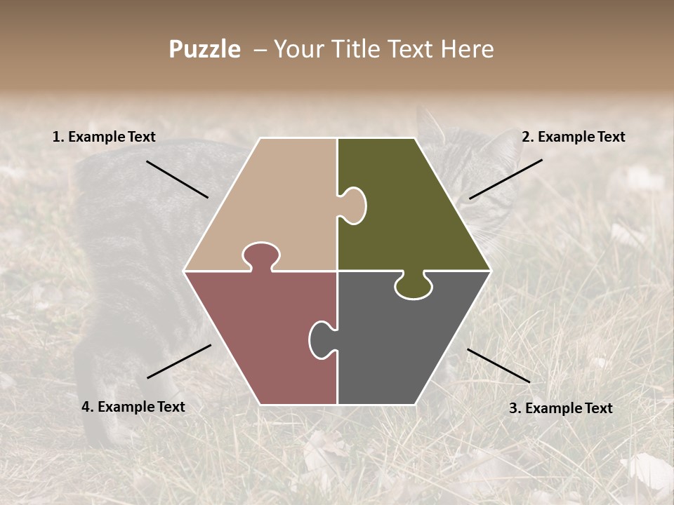 A Cat Standing In A Field Of Grass PowerPoint Template