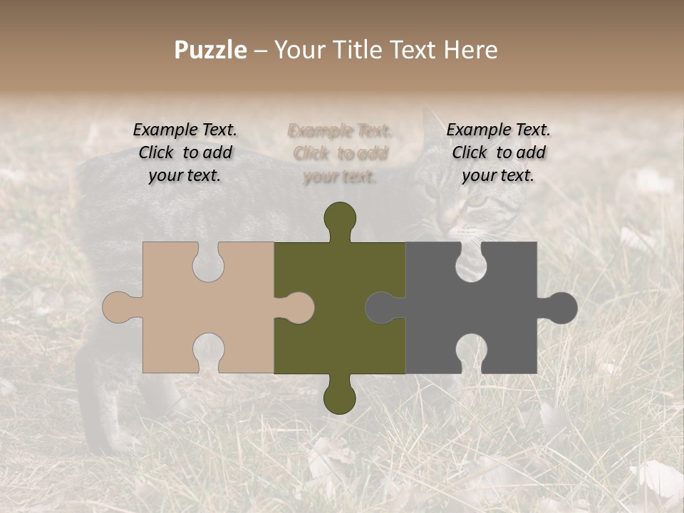 A Cat Standing In A Field Of Grass PowerPoint Template