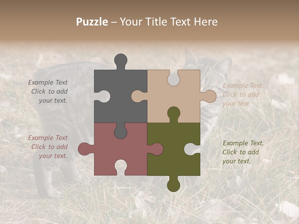 A Cat Standing In A Field Of Grass PowerPoint Template