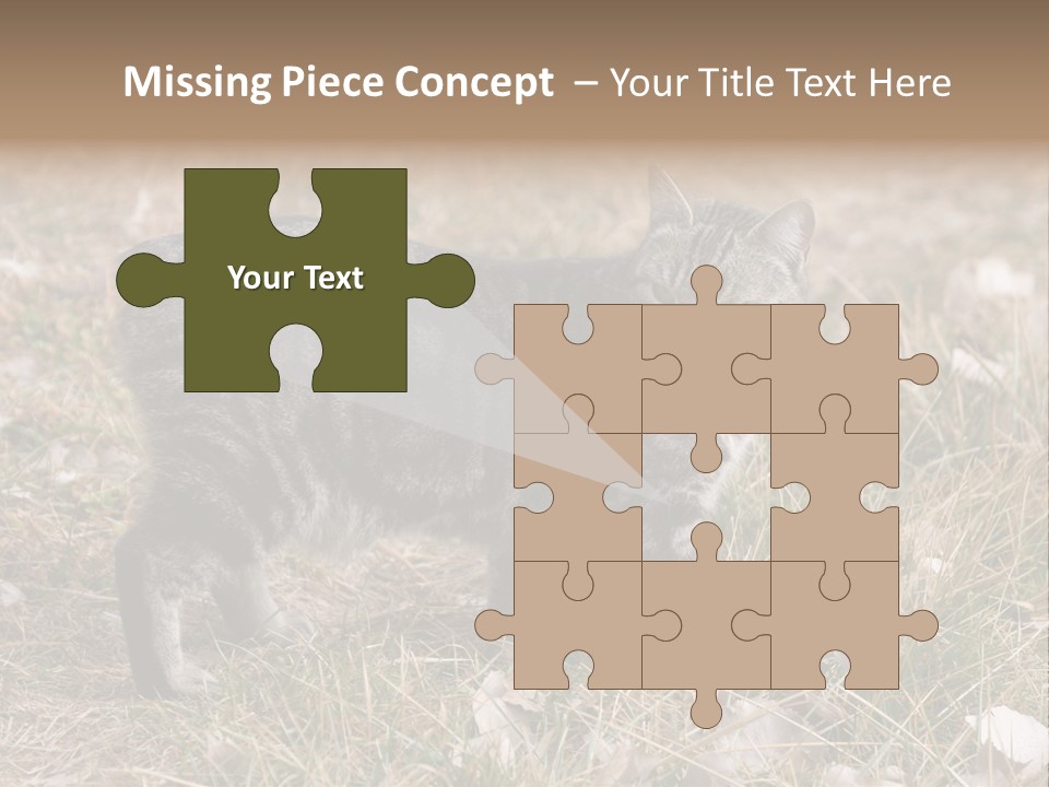 A Cat Standing In A Field Of Grass PowerPoint Template