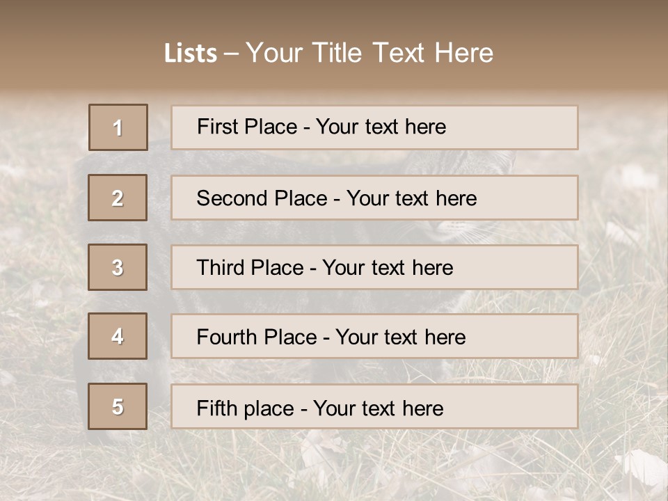 A Cat Standing In A Field Of Grass PowerPoint Template